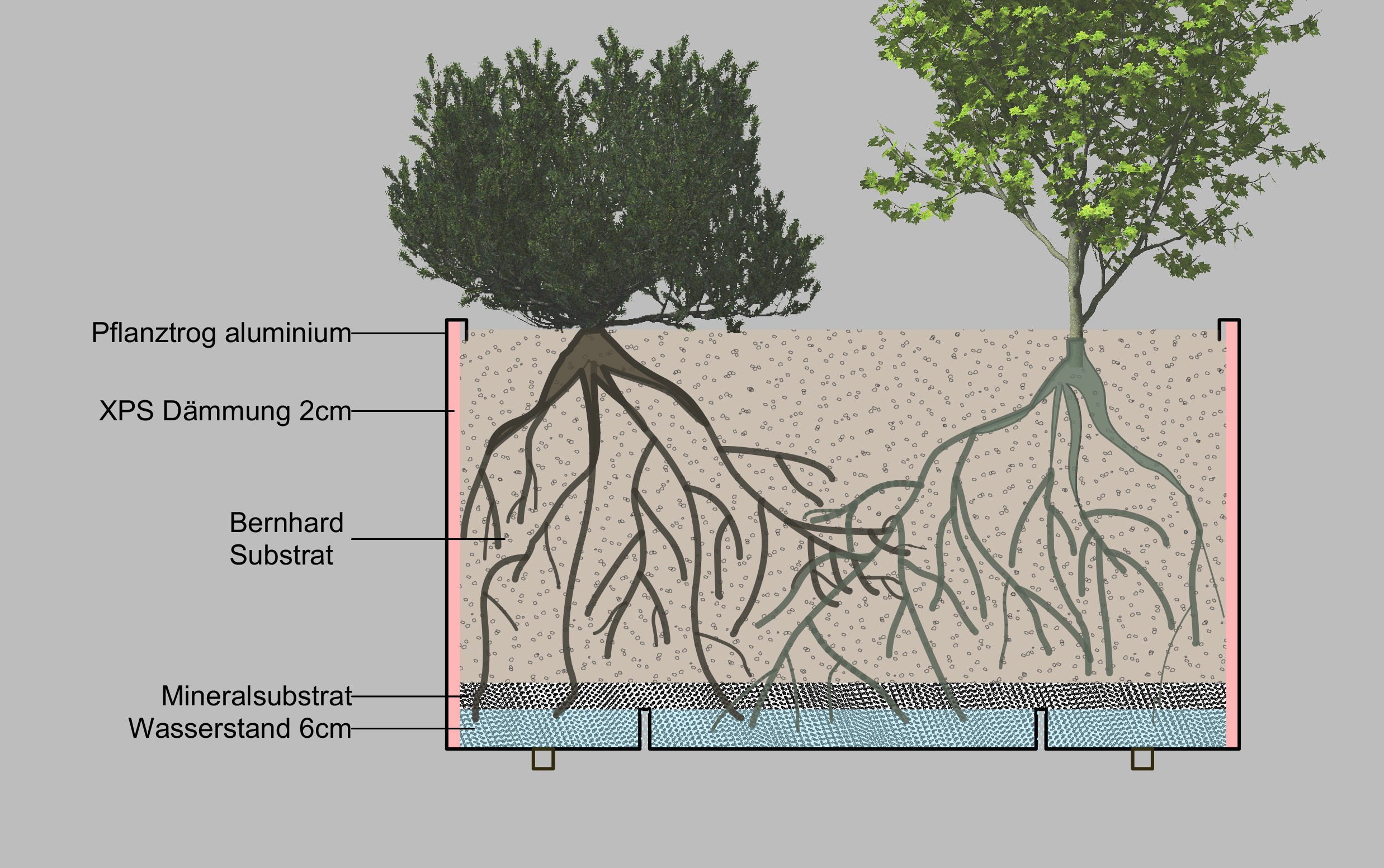 Ideale Bepflanzung des Pflanzentrogs erst durch Bernhard-Substrat und durch Mineral-Substrat am Boden